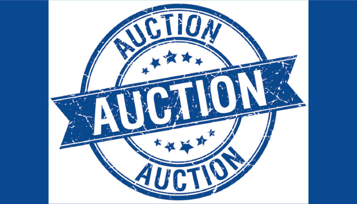 Nov_Auction