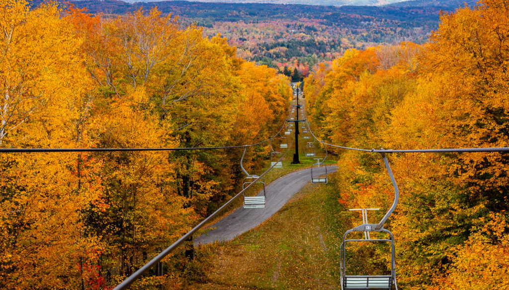 Stowe-LEAFS0616