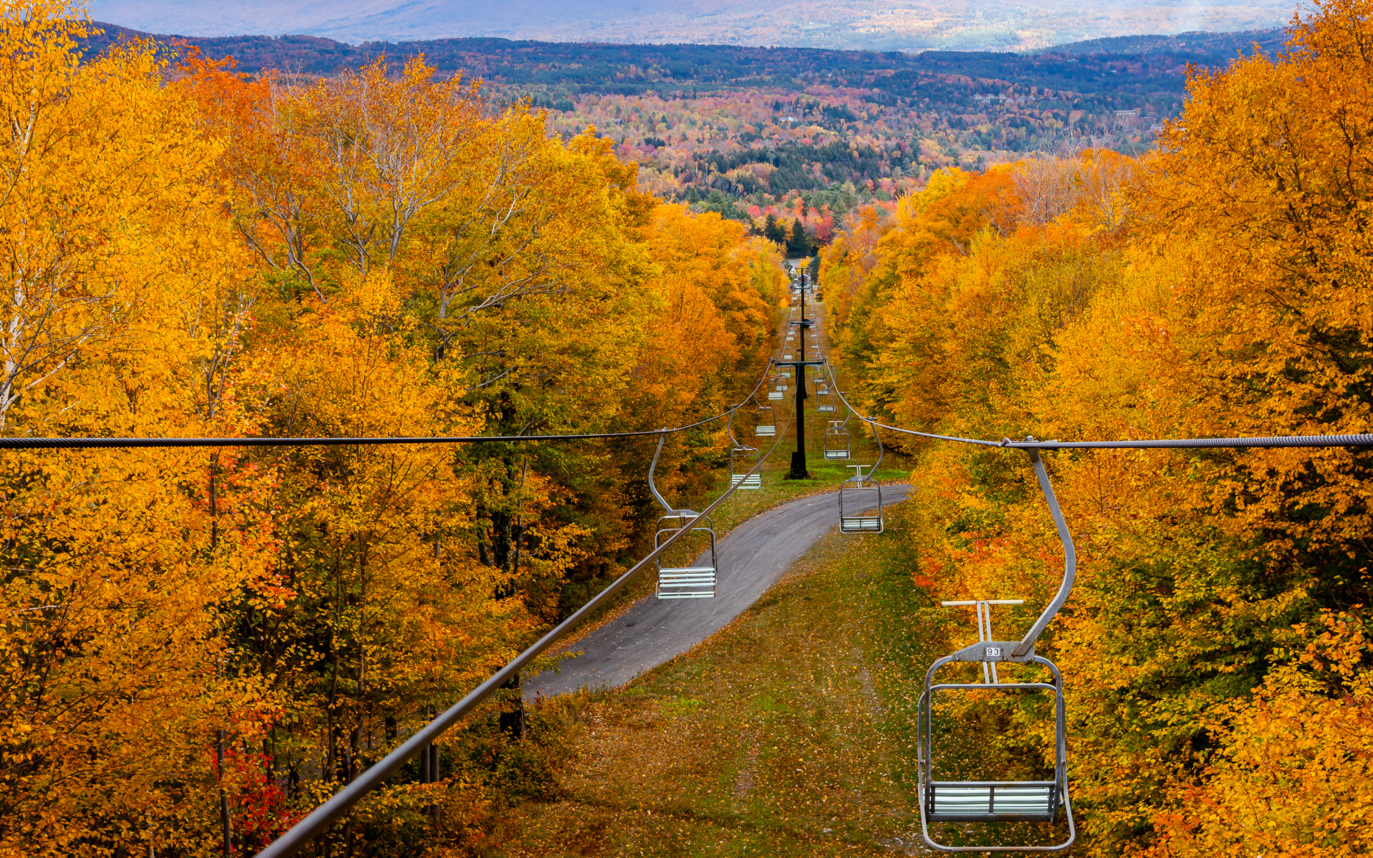 Stowe-LEAFS0616